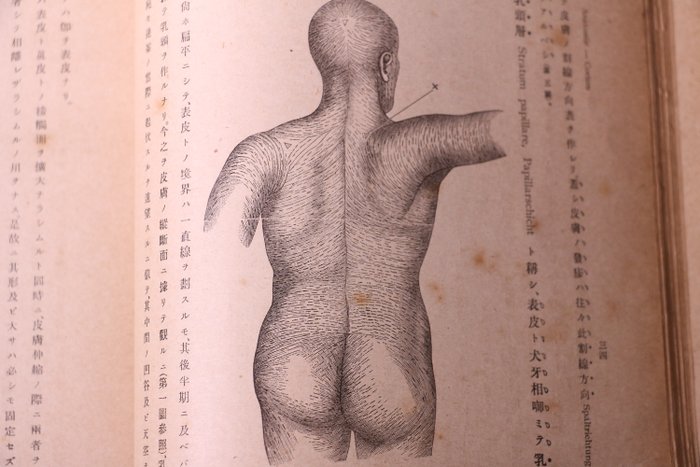 土肥慶蔵　Dohi Keizo - 皮膚科学 上巻 下巻 Dermatology　 - 1918
