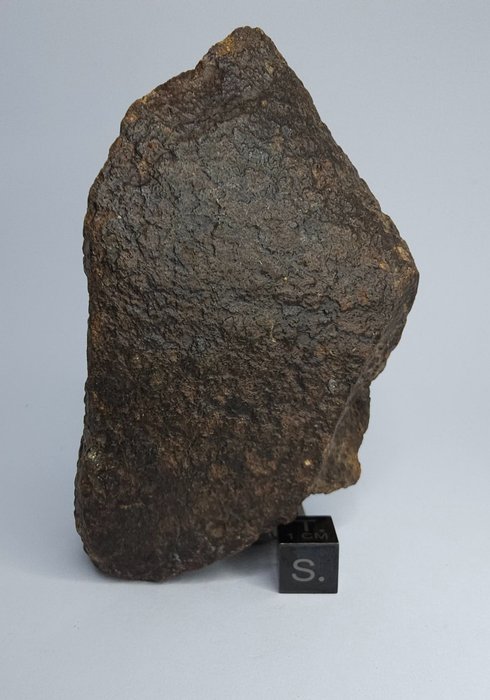 Meteorito Condrito comum. Não reserve preço. - 443 g - (1)