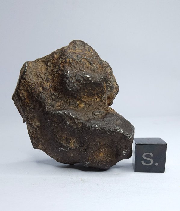 Gebel Kamil meteorite 未分組，鐵。 - 94.29 g - (1)