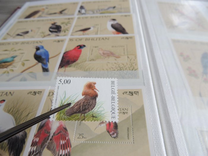 Vögel  - Auswahl inklusive Serien in einem Arbeitsbuch