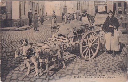 Frankreich - Hundegespann – Ardennais Givet - Postkarte (1) - 1900-1930