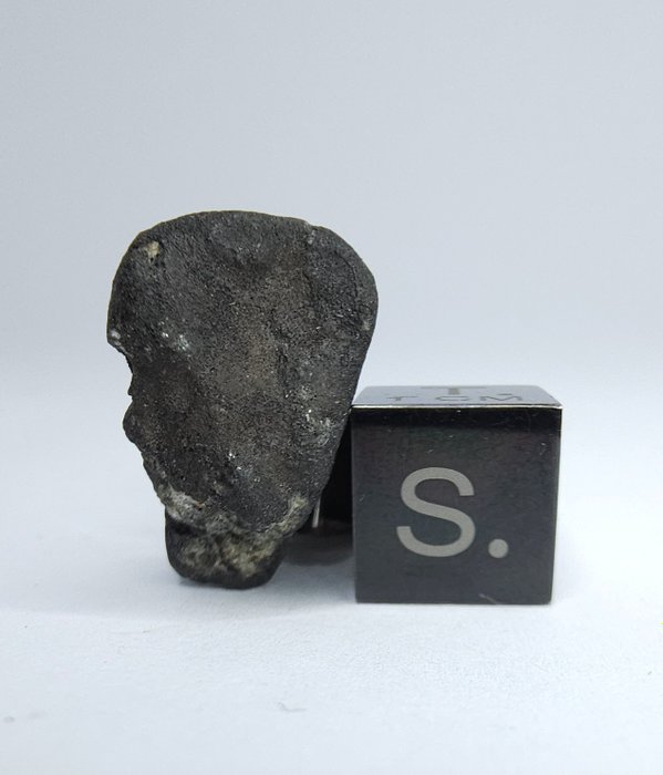 Meteorit: El Menia L5, observat toamna 2023. Super proaspăt și fără preț de rezervă. - 4.42 g
