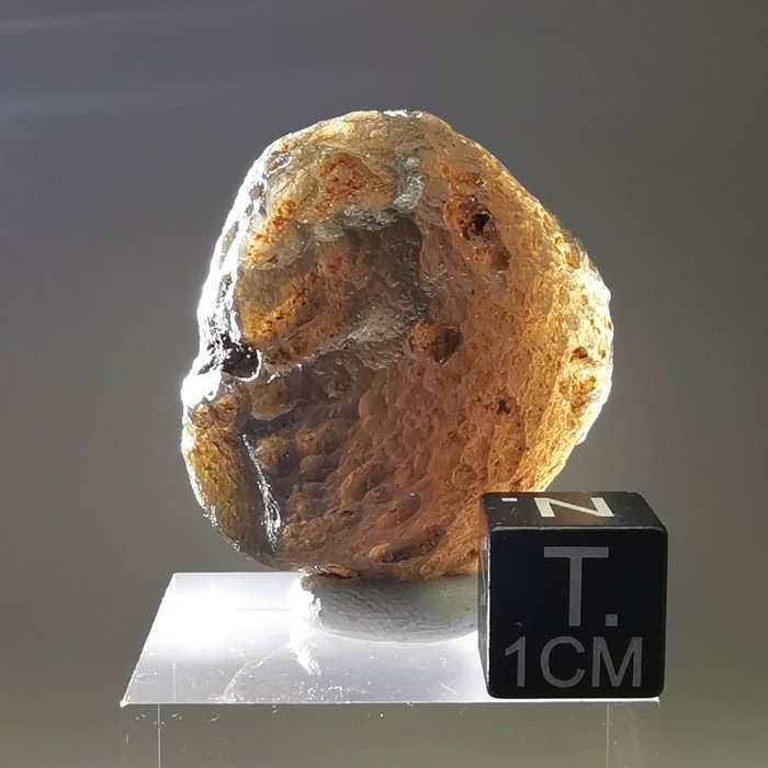 Colombianite, en sjelden pseudotektitt fra Colombia - Høyde: 32 mm - Bredde: 26 mm - 25.4 g