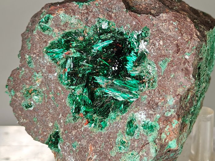 Brochantit in Geode auf Cupritmatrix Kristalle auf Muttergestein - Höhe: 7 cm - Breite: 5 cm- 290 g