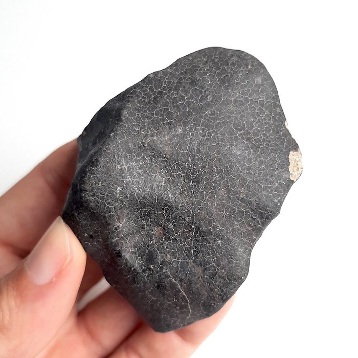 Ei varausta. Ghadamis, jossa supistumishalkeamia. Havaittu meteoriitin putoaminen - 185.5 g