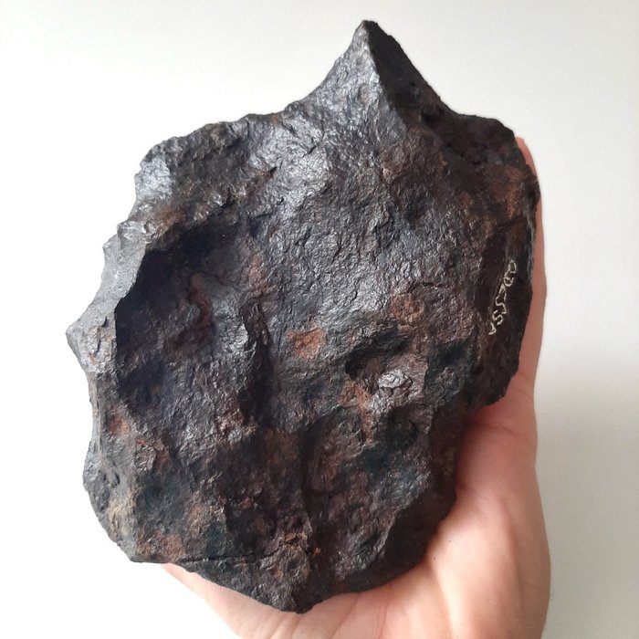 敖德萨陨石。铁来自德克萨斯州 - 3570 g
