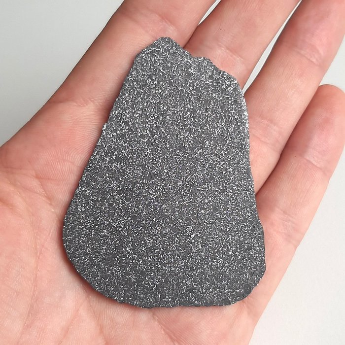 充滿鐵包裹體。 NWA 16401，新分類隕石 - 20.2 g