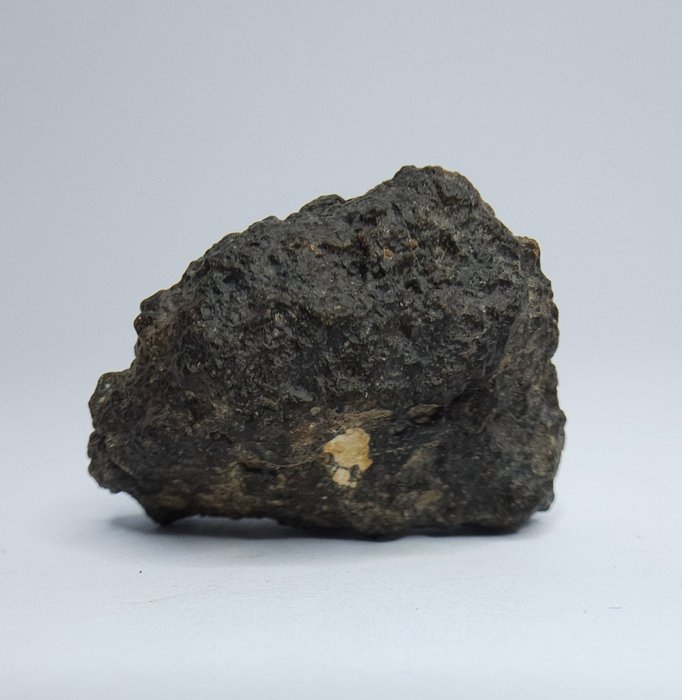 Meteorit Howardit HED, Bechar 008. Preis nicht reservieren. - 23.1 g - (1)