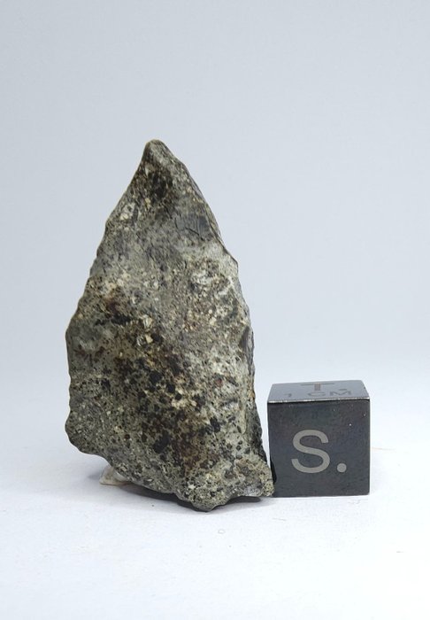 Meteorito NWA 14131. HED, Eucrito - 20.45 g - (1)