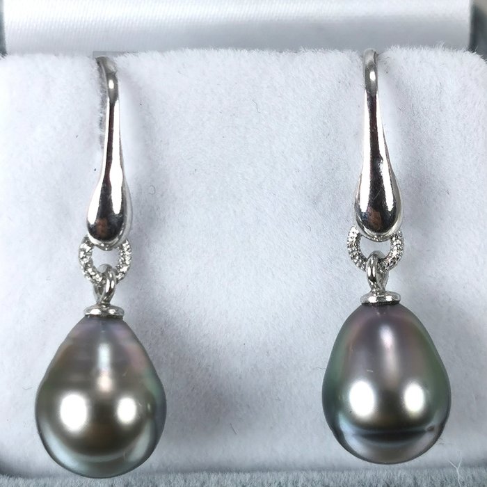 Drop shape Tahitian pearls Ø 9,7x12,7 mm earrings - 耳环 银 珍珠 