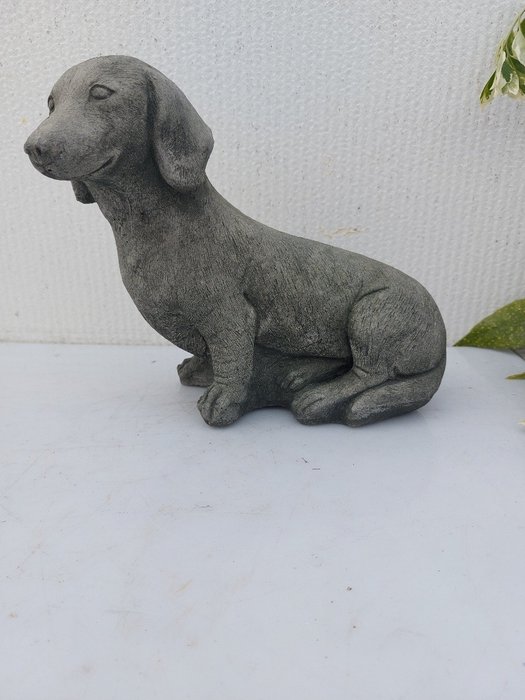 Statue, pub of a short-haired dachshund - 21 cm - støpt stein