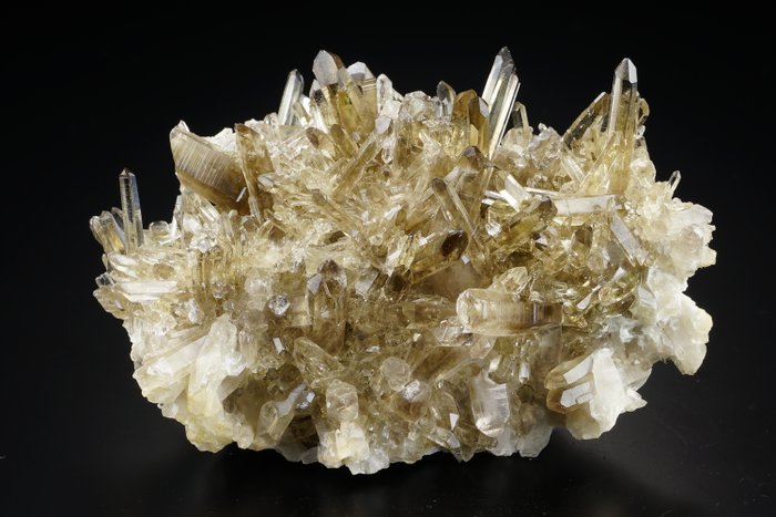 Smoky quartz - grappolo di gemme extra - Altezza: 95 mm - Larghezza: 55 mm- 200 g