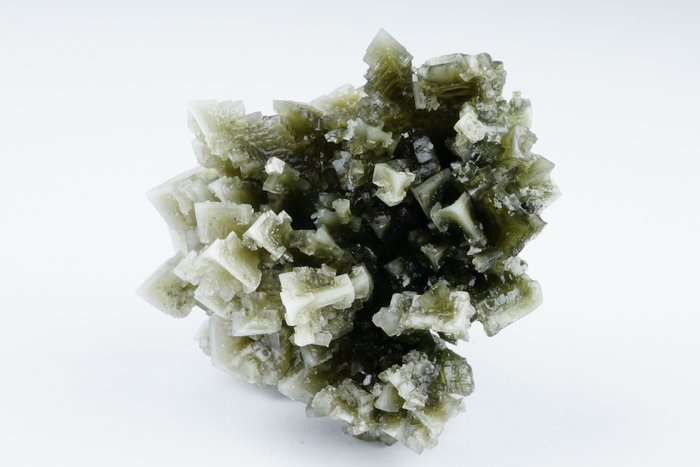 新發現 - 含有托鋁石（非常稀有的礦物）綠色內含物的綠色鹽石 和黑色有機內含物 - 獨一無二 - 高度: 65 mm - 闊度: 50 mm- 48 g