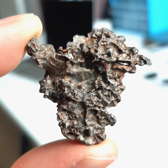 Goldener Pallasit-Meteorit. Viele Löcher - 23.34 g