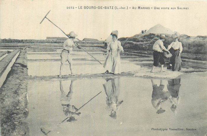 Ranska - Osastot 14 (Loire-Atlantique) ja 83 (Var) - suolankorjuu - Suolatehdas - Marais..... - Postikortti (10) - 1900-1930