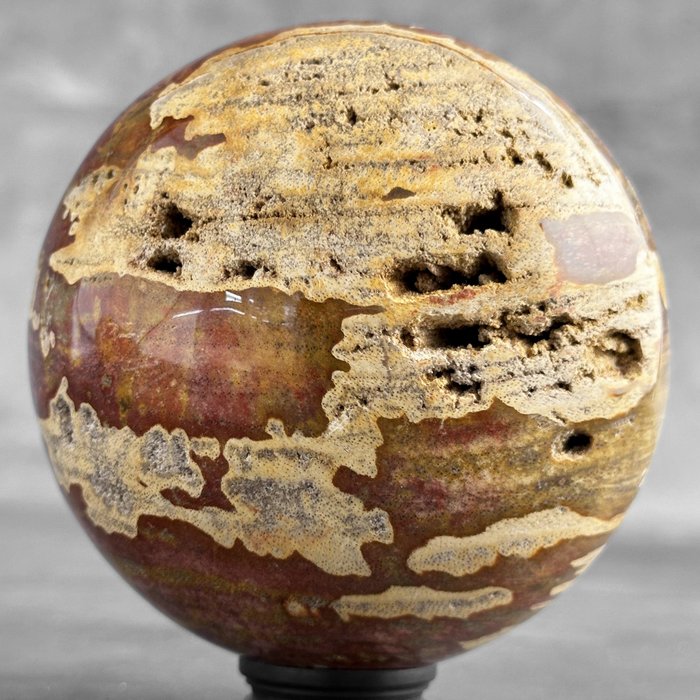 BEZ CENY REZERWOWEJ - Cudowne skamieniałe drewno Kula na niestandardowym stojaku- 1700 g - (1)