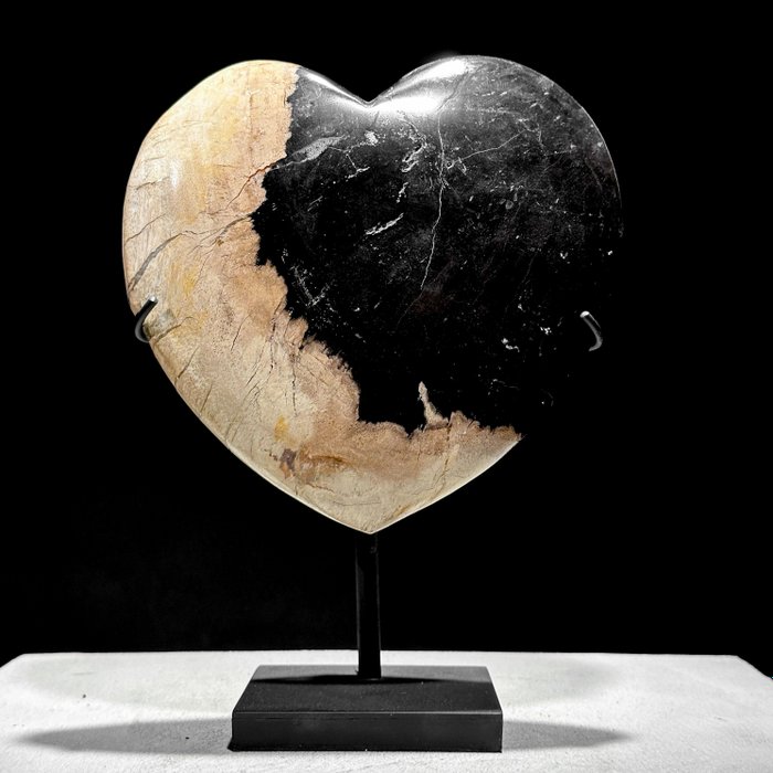 KEIN MINDESTPREIS – Atemberaubendes Herz aus versteinertem Holz auf einem maßgefertigten Ständer - Versteinertes Holz - 20 cm - 13 cm  (Ohne Mindestpreis)