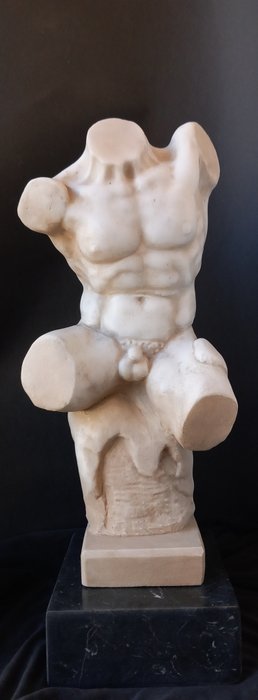 Busto, Torso del Belvedere - 48 cm - Marmo
