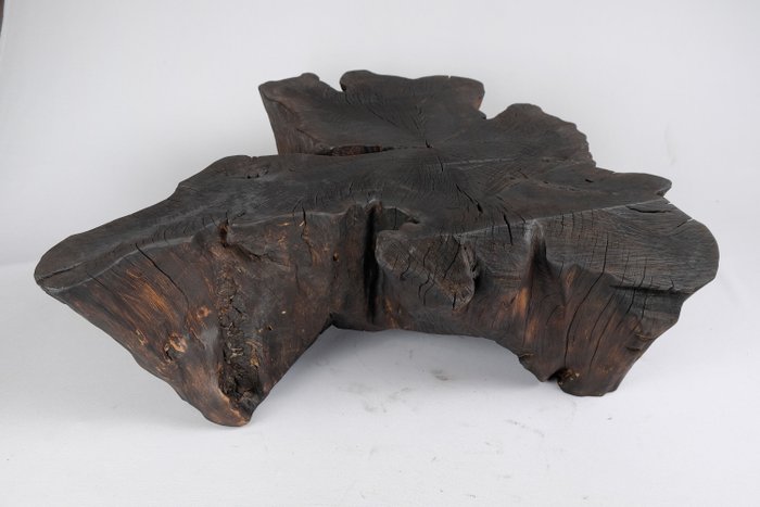 Logniture - Couchtisch - Organische Form, groß, XXL - Holz