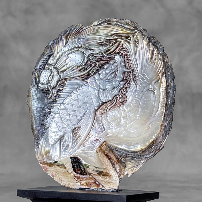 無底價 - 雕刻珍珠母貝 - 日本錦鯉魚圖案 - 貝殼 - Pinctada Maxima  (沒有保留價)