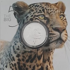 Zuid-Afrika – The big five: leopard 2023 1 oz silver R5 – Herdenkingsmunt – 2023