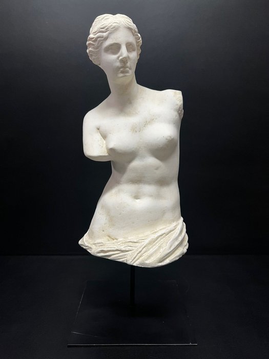 Skulptur, Busto dell'afrodite di Milo - 50 cm - marmorstøv