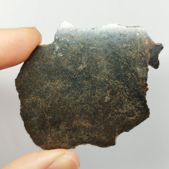 XL 切片，WINONAITE（原始無球粒隕石）。 「IN GHAR 001」（阿爾及利亞，2022 年）。 - 13.8 g