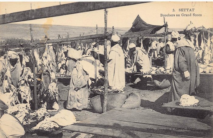 阿爾及利亞 - 美麗、種類繁多 - 美麗的選擇 - VF - 明信片 - 1905-1950