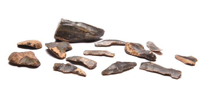 新石器時代早期，奧馬利亞 燧石 擁有 13 件新石器時代早期工具的地塊  (沒有保留價)