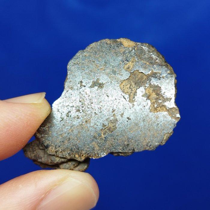 新的！！！ MDEÏNÉ 001（毛里塔尼亚，2021 年）。中硅铁石 -石铁陨石 -。 尾切。无底价！！！ - 9.15 g