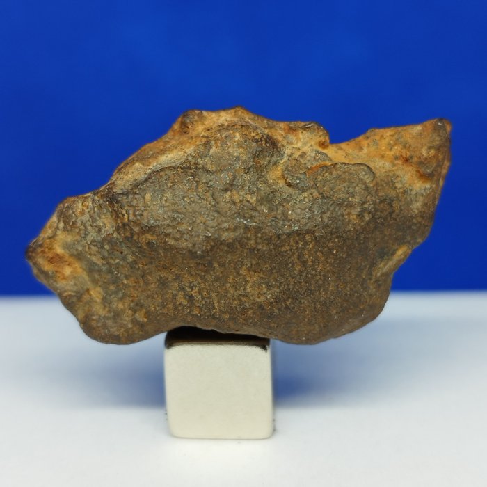 Météorite de fer GEBEL KAMIL (Egypte, 2009). ATAXITE, météorite non groupée en fer. MEILLEURE QUALITÉ. - 32.7 g