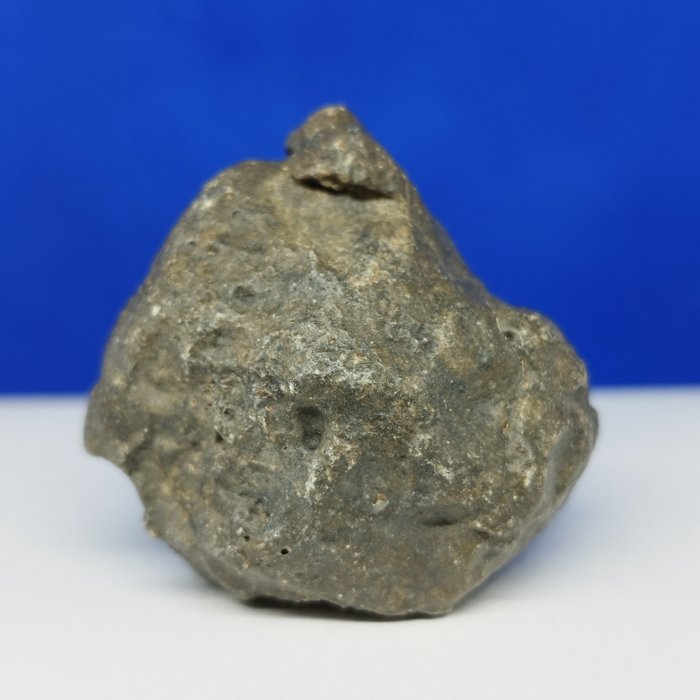 鋰橄欖石隕石。新的“JIKHARRA 001”（利比亞，2022 年）-來自 VESTA 的球粒隕石- 無底價！！！ - 47.6 g
