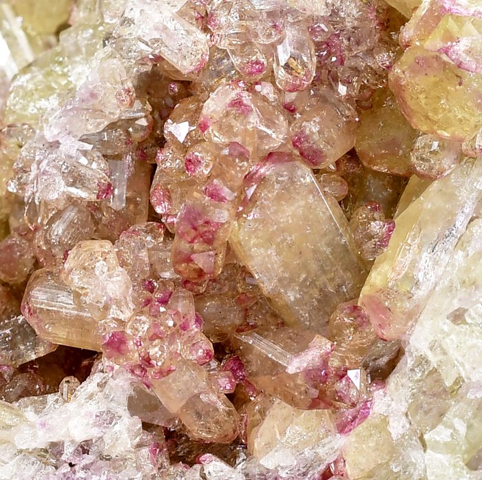 重要寶石維蘇威石 來自著名的傑弗裡礦 - 高度: 6.5 cm - 闊度: 4.3 cm- 146 g