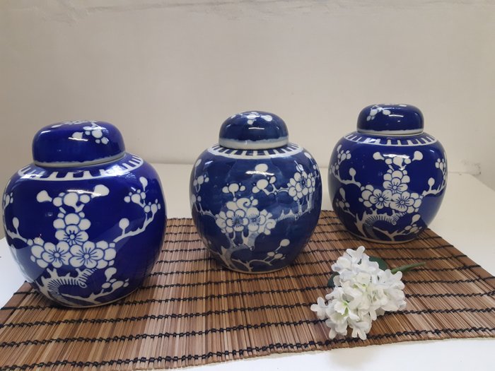 Prunus blomstrende ingefærglas - Porcelæn - Kina - 20. århundrede