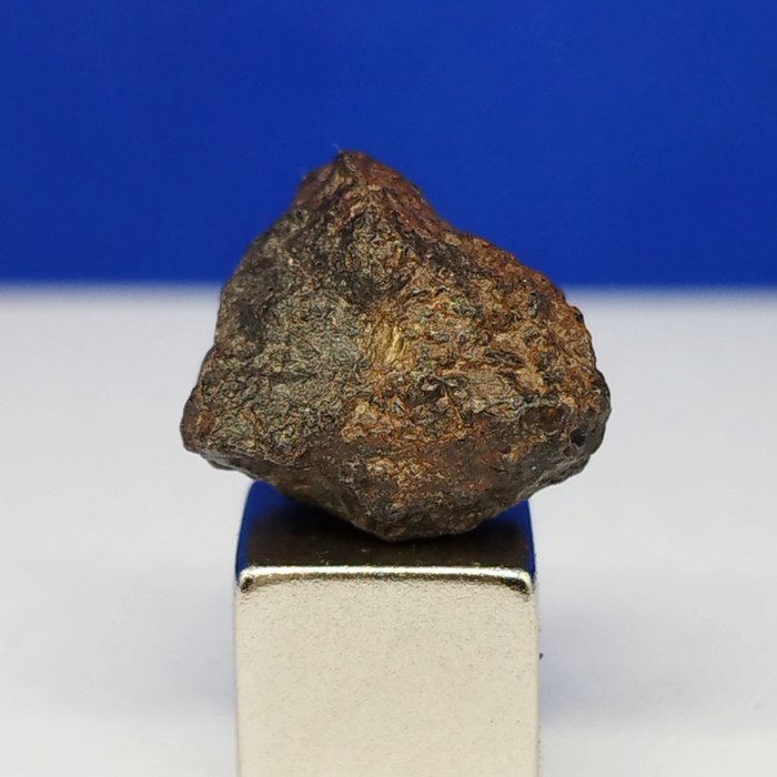 ANGRITE-METEORIT – Der älteste plutonische Stein im Sonnensystem – Rafsa 007 (Algerien, 2023). - 2.48 g