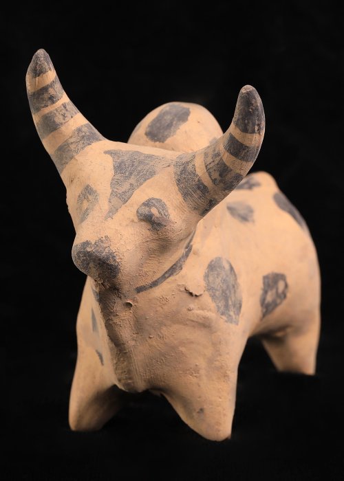 Indus-kulttuuri Terrakotta Härän patsas  (Ei pohjahintaa)