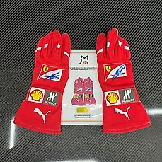 Ferrari – Formule 1 – Fernando Alonso – 2012 – Race handschoenen