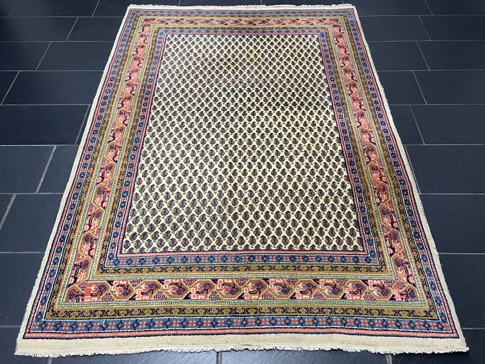 萨鲁克·米尔 - 小地毯 - 236 cm - 170 cm