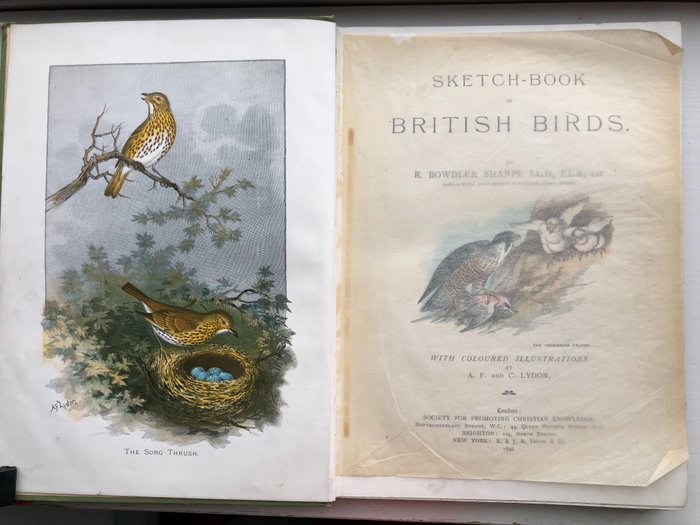 R. Bowdler Sharpe - Sketch-Book of British Birds - 1898