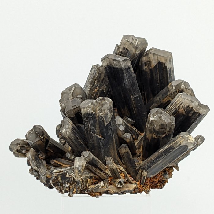 稀有黑色亞硒酸鹽，管道石膏 水晶 - 高度: 105 mm - 闊度: 83 mm- 210.12 g