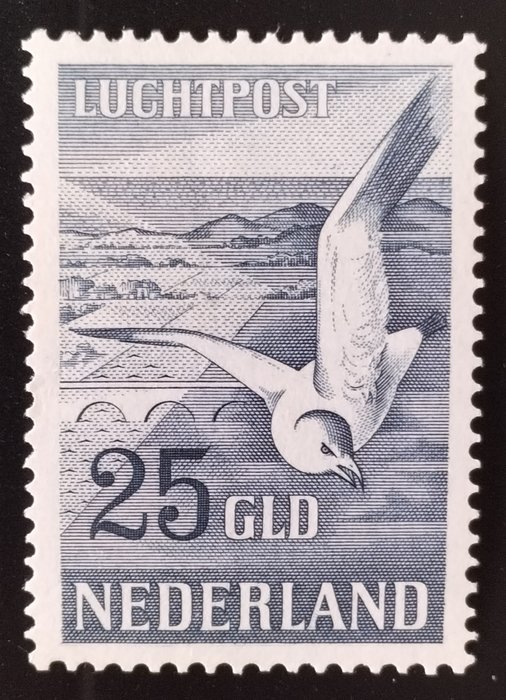 Nederländerna 1951 - Seagull - Flygpost - Nvph LP 13