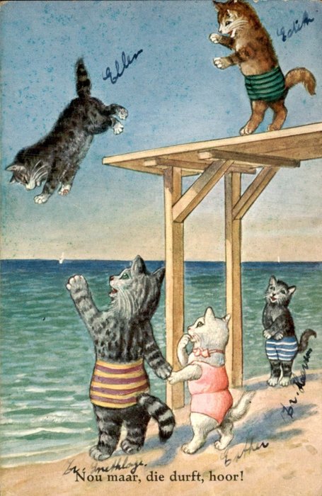 Animais, Fantasia, Gatos - Gatos - Gato - Gato - Postal (53) - 1900-1970