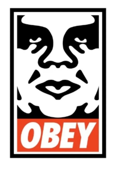 Shepard Fairey (OBEY) (1970) - Icon