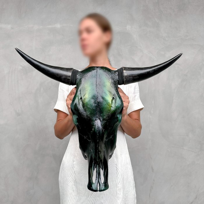 ΧΩΡΙΣ ΤΙΜΗ ΑΠΟΦΑΣΗΣ - Βαμμένο κρανίο ταύρου - Μεταλλικό Πράσινο Χρώμα - Κρανίο - Bos Taurus - 47 cm - 57 cm - 21 cm- Είδη που δεν ανήκουν στο CITES -  (1)