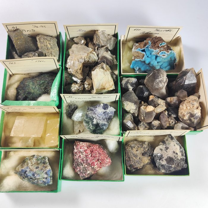 Pirite Christalisée, Mica Blanc, Calcite, Azurite, Fluorite, Rhodonite, Blenda, Quartzo, Calamina Coquillage marin - Lot of 10 Types of Minerals  (Sans Prix de Réserve)