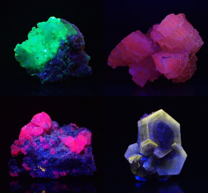 Great Lot with Fluorescent Specimens - Hyalite, Fluorite, Halite and Apatite - Height: 60 mm - Width: 50 mm- 186 g - (4)