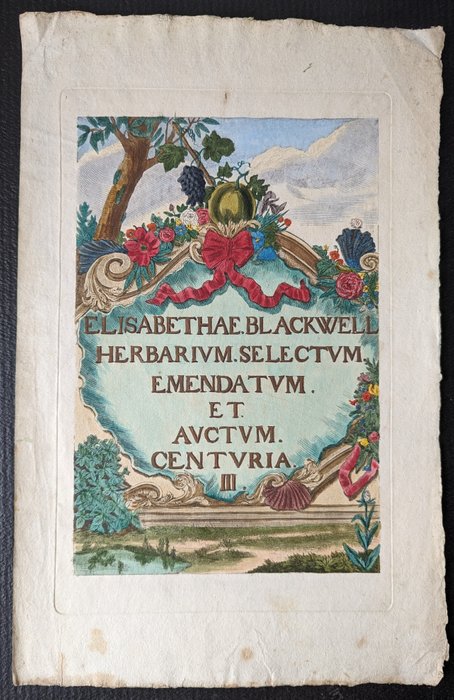 Elizabeth Blackwell (ca. 1710-1770) - Herbarium Blackwellianum Centuria III Christoph. Iacobi Trew,  Nicolaus Fridericus Eisenbergerus - 1757