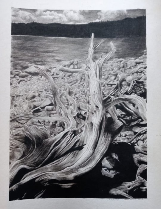 Maria laura Carollo - Disegno di Imitazione di una fotografia di Ansel Adams