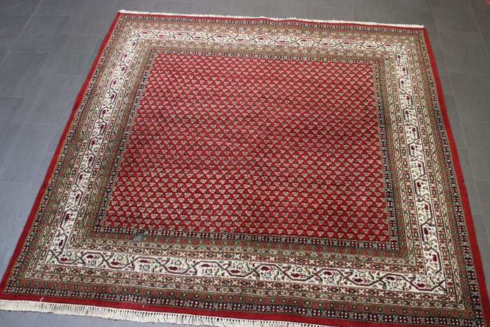 薩魯克·米爾 - 小地毯 - 247 cm - 250 cm