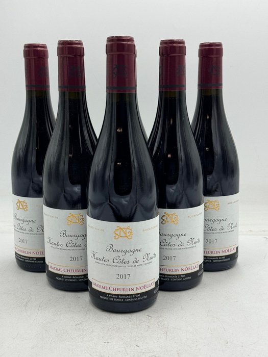 2017 Maxime Cheurlin Noellat - Bourgogne Hautes Cotes de Nuits - 勃艮第 - 6 Bottles (0.75L)